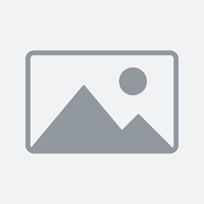 ব্যবসায়িক ডেলিভারি